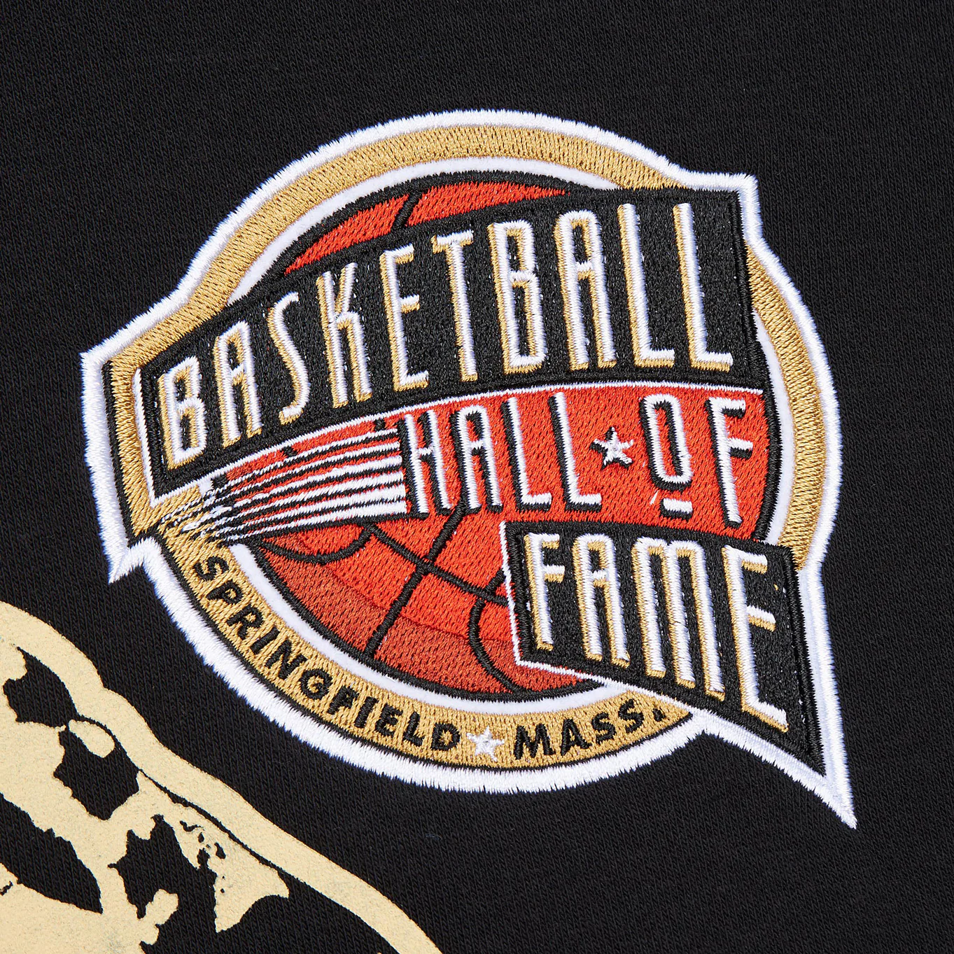 Mitchell & Ness Pistons Chauncey Billups Hall of Fame Hoodie - Image 4